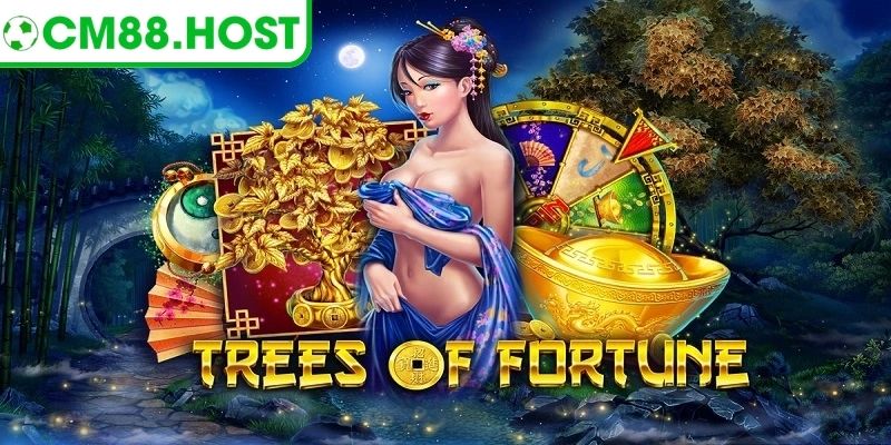 Nắm rõ các quy luật phát triển cây tài vượng