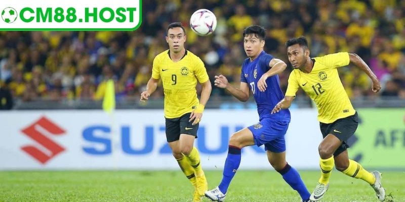 Tỷ Lệ Kèo Malaysia – Áp Dụng Hiệu Quả Cho Người Mới 1 Tỷ lệ kèo Malaysia dựa trên hai nhóm số